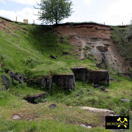 Quaderkalk Stbr. Luetzelbruch bei Lindelbach nahe Wuerzburg, Bayern, (D) - 18. Mai 2023 (12).JPG